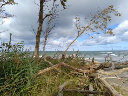 Nordstrand Zingst