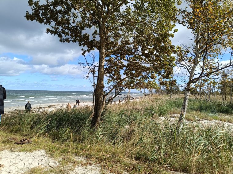 Nordstrand_Nationalparktage_Zingst